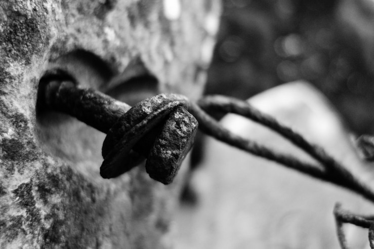 44061495605_a4d49af461_b