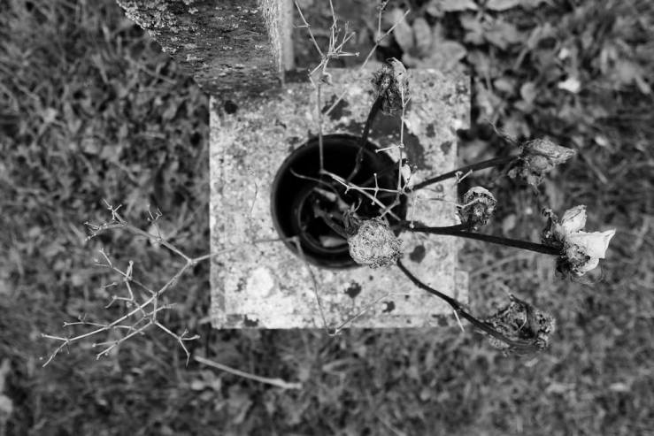 44906739992_46702bbc96_b