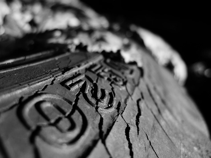 49178465968_31ecbbd82c_b