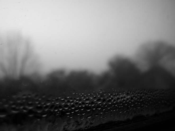 6984213793_b67ccfed12_b