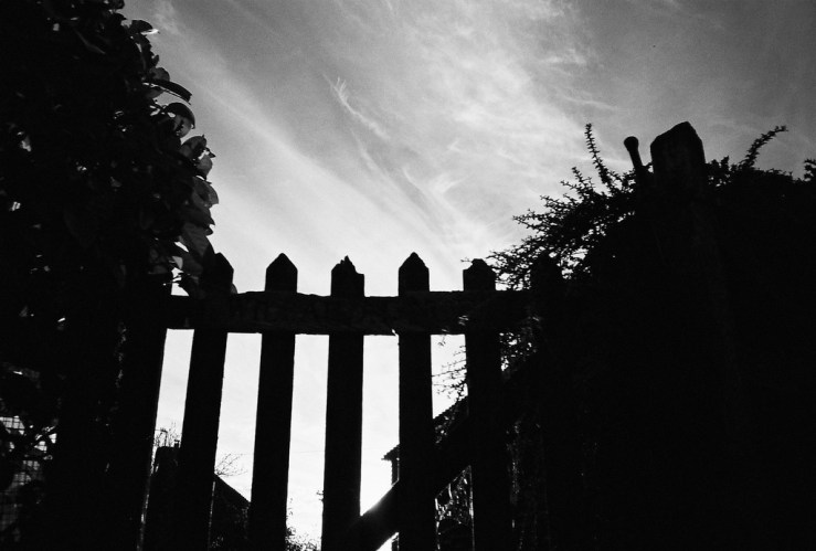 30864966955_2872a4fd2f_b