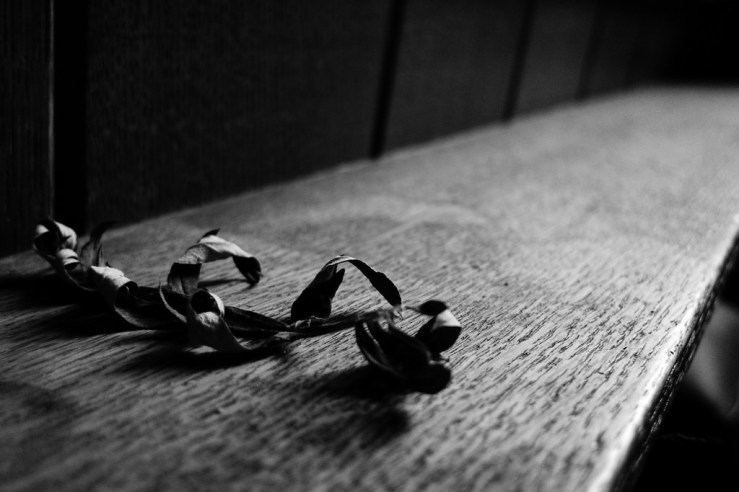 31667669598_9758726e75_b