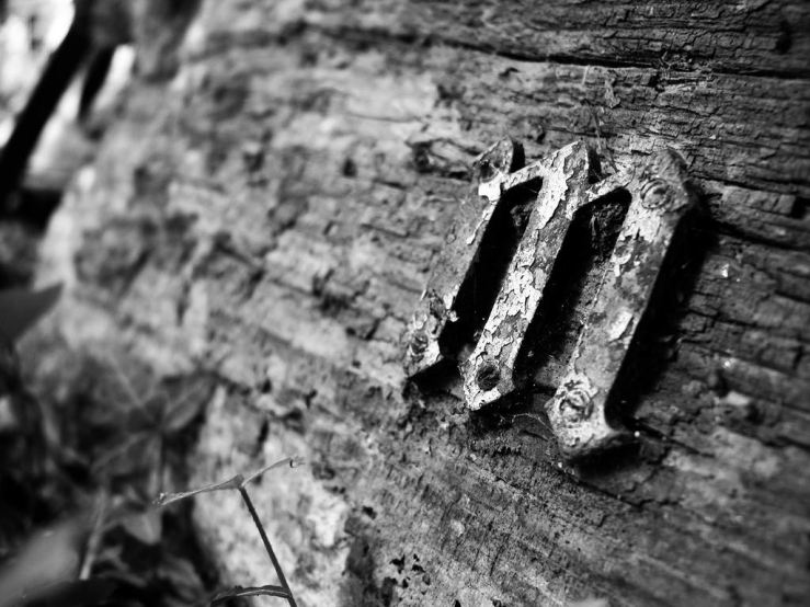 43304759331_edc444bcd9_b