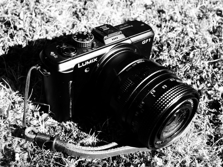 43780994522_27d8802ff2_b