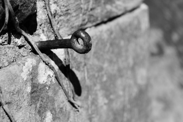 43920131862_a71b300334_b