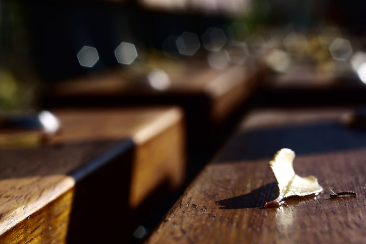 45186997711_c9a20e6b39_b