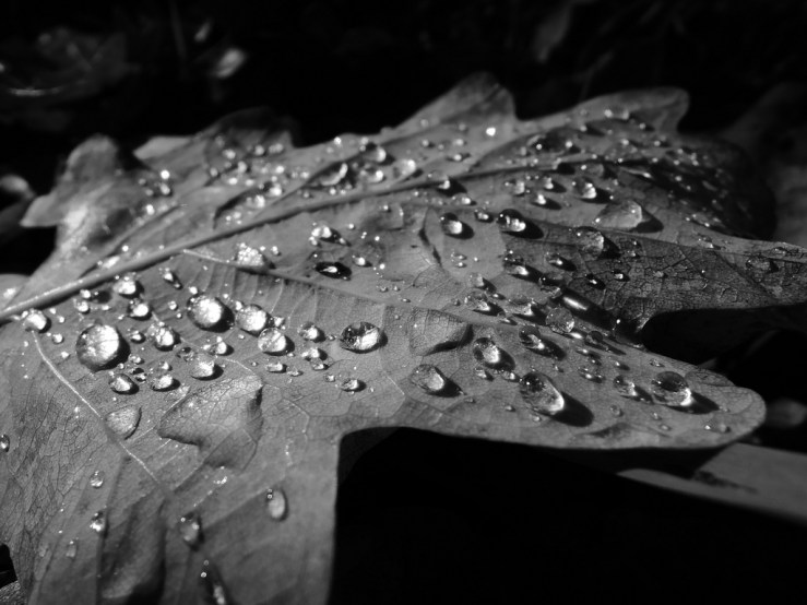 6399542039_72aa705e8f_b