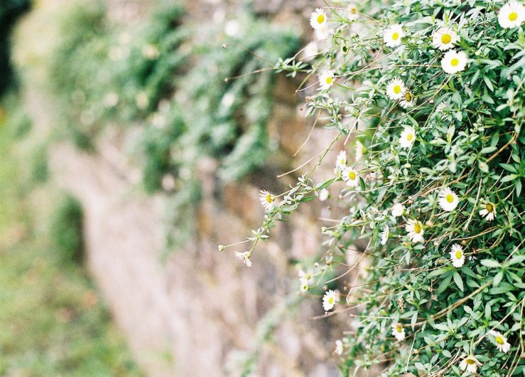 15821255647_1ee57ac9a6_b