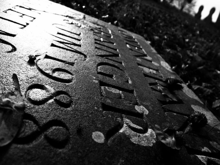 31992891048_25a18e5291_b