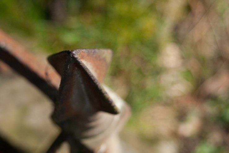 33451328595_2d615221ee_b