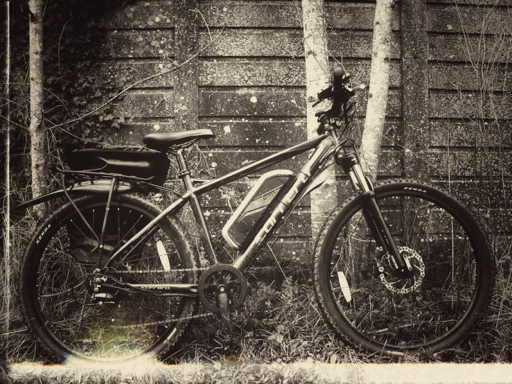 44093542930_f67574b138_b