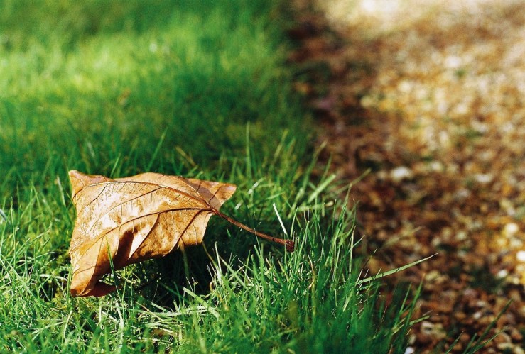 24756309524_fa640634f9_b