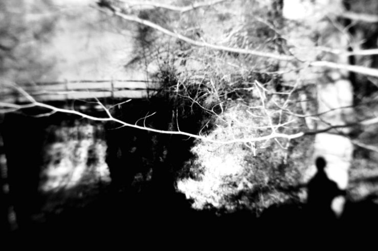 40319615772_89c6d8316f_b