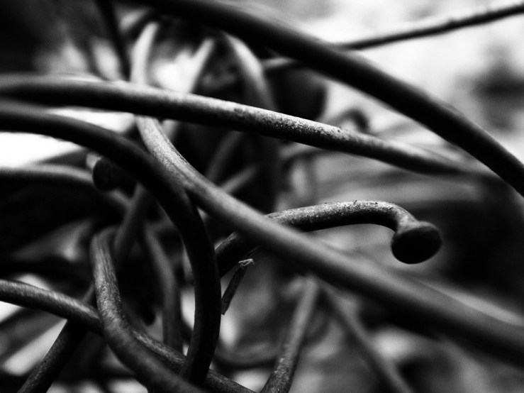 44498346240_912260bbb7_b-1