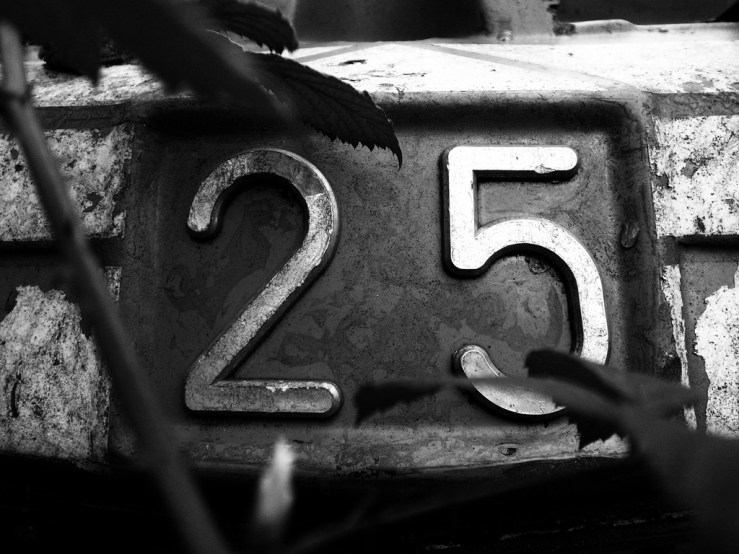 45402186375_c6a5205494_b