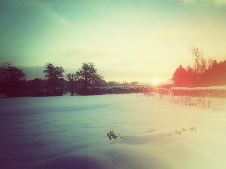 46146111171_f7b0809f0f_b