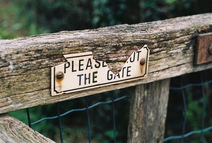 26436496830_20db5d9489_b