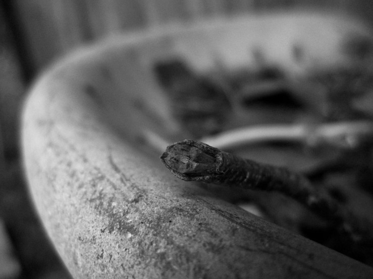 32880915328_710e89433e_b