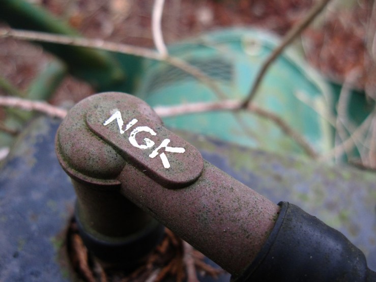 32880916418_268ee7f435_b