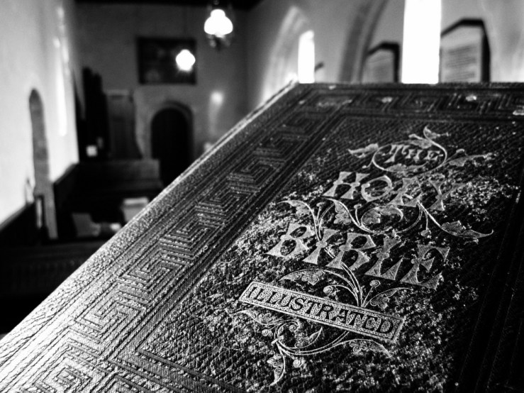 32978233238_b37f15c512_b