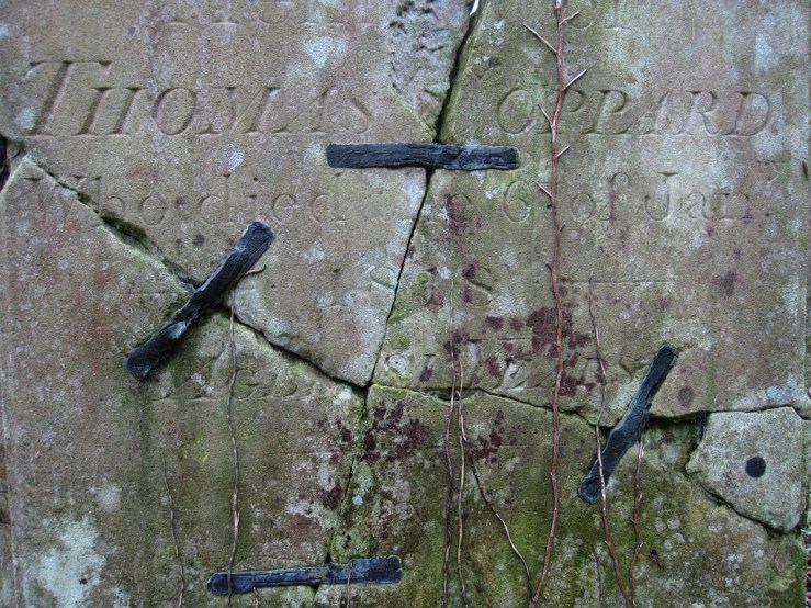 33033298238_ffedd8c3d9_b