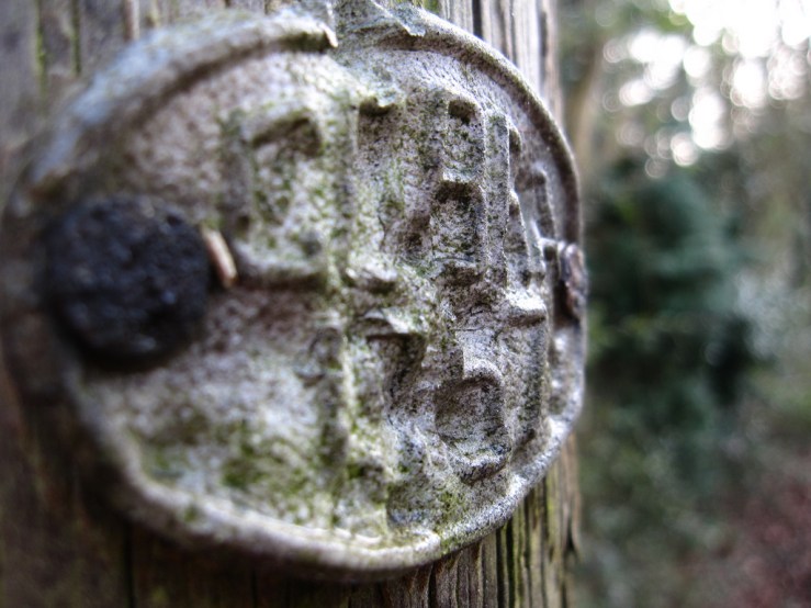 33033298698_03e5b328e6_b