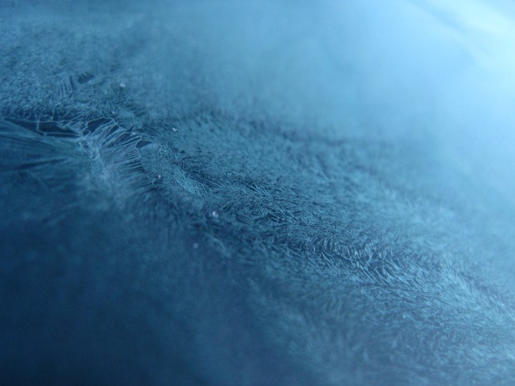 33055587148_5d404389e5_b