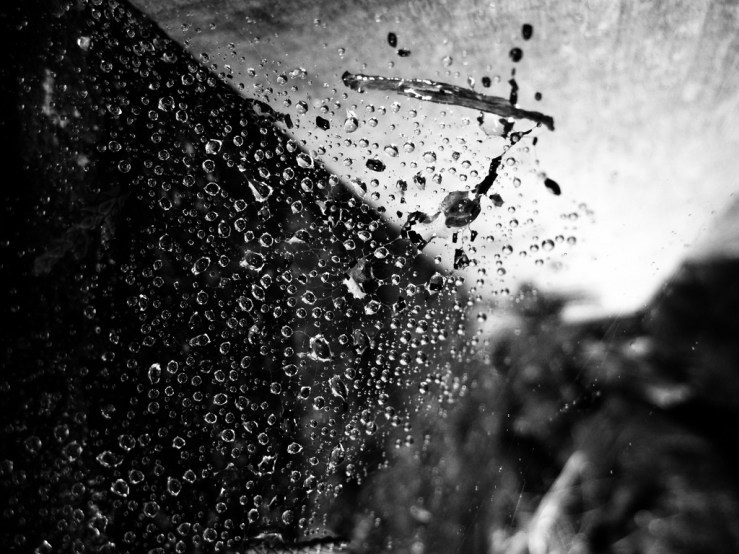 33065932338_9ca9f68bef_b