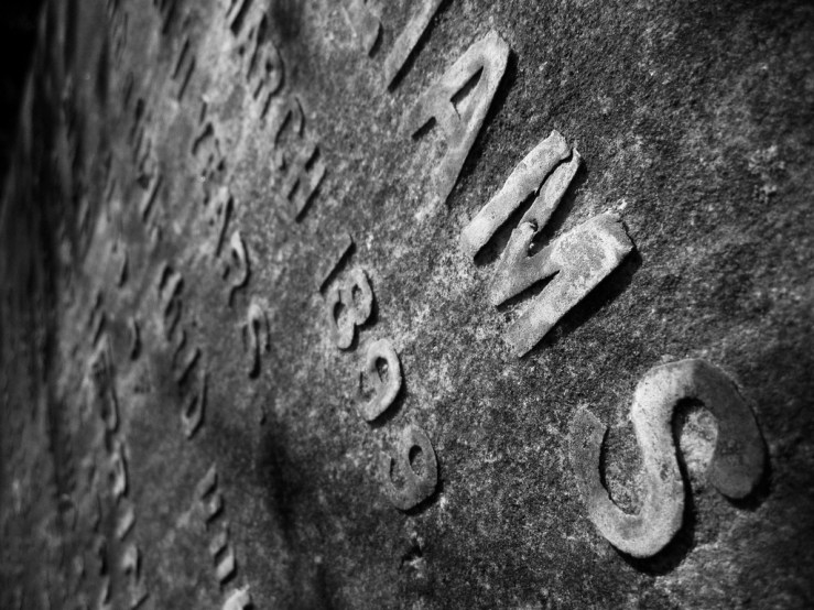 44784398620_2baa227675_b