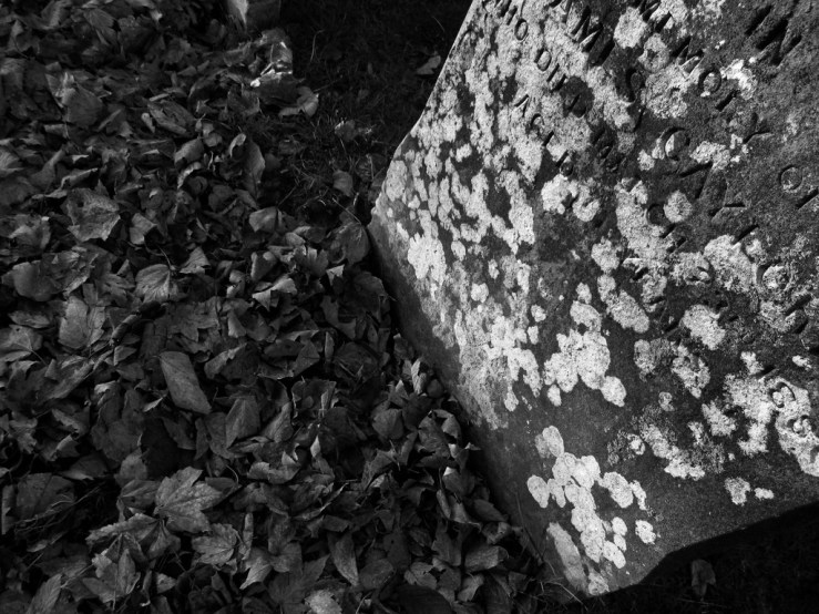 45687985385_c71842fe64_b