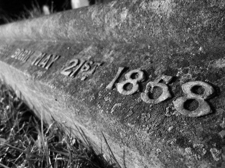 45688000995_cc75ab255a_b