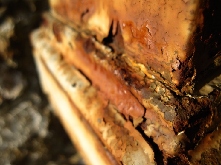 45878059774_d5ea9be233_b