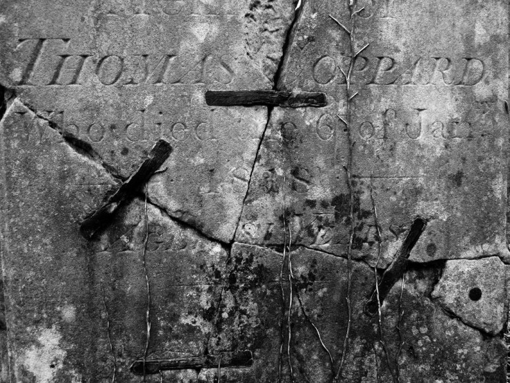 46149767714_4df6dab40a_b