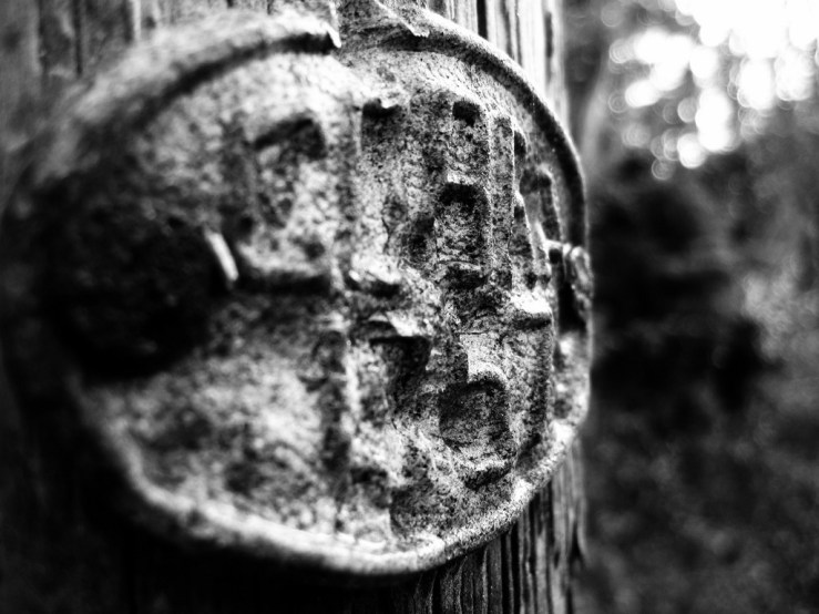 46149768844_cd18bc5a30_b