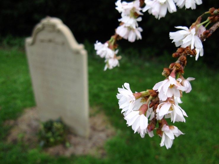 46704861861_a140cdbd99_b