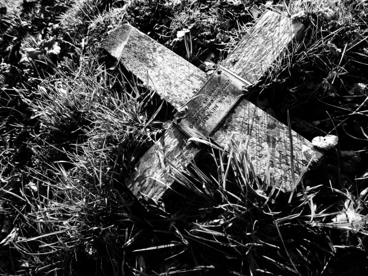 46737759792_2104cc6de0_b