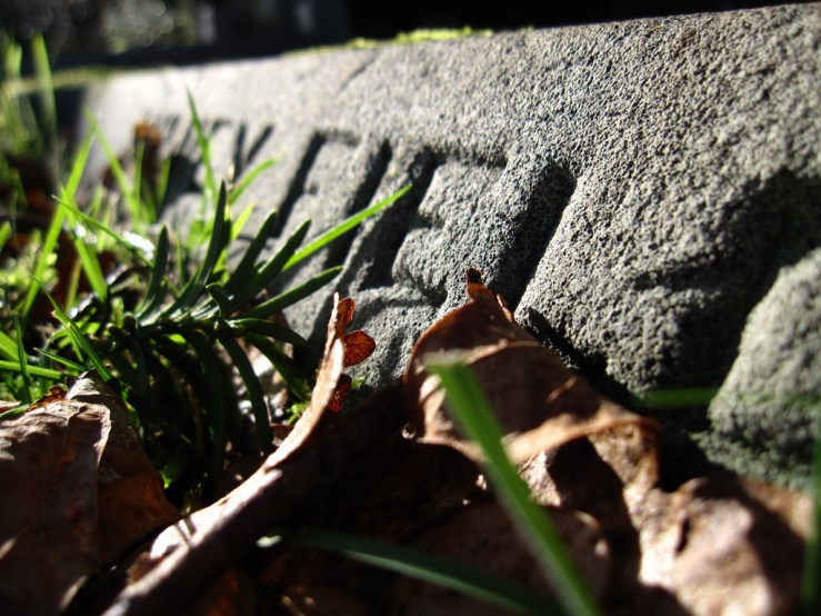 46778069412_c71df3c1cd_b