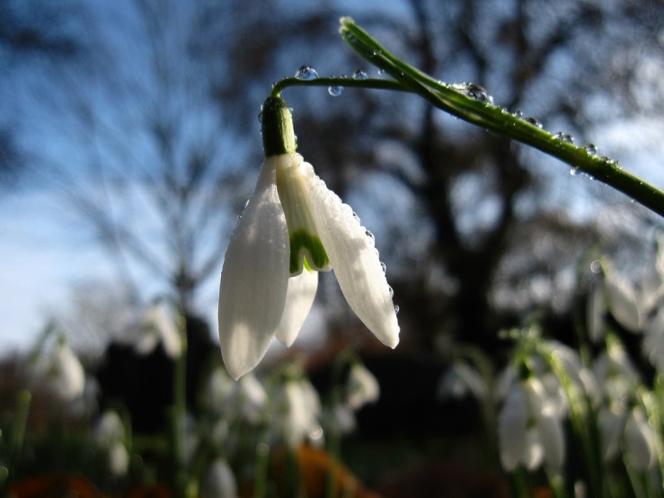 46822857202_02eb5b9a36_b