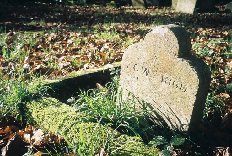 24828183131_2d22cda407_b