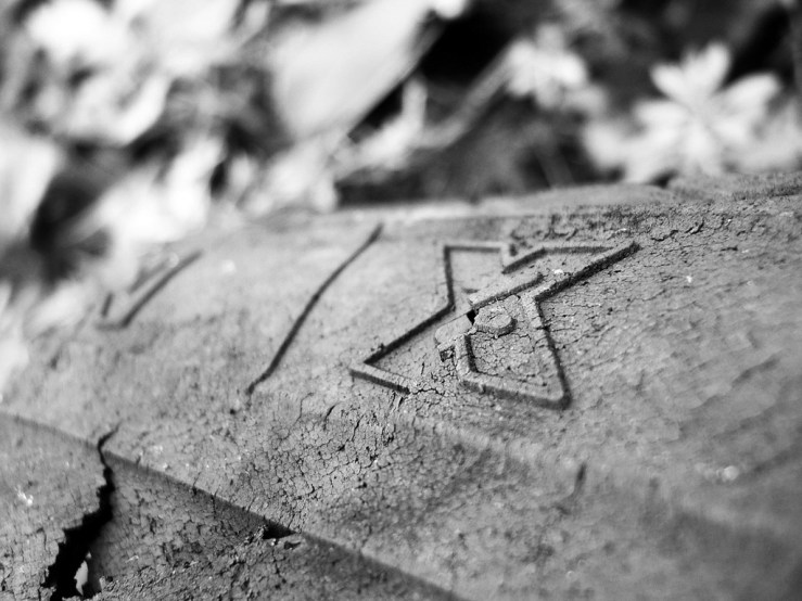 32085443157_25f75df667_b