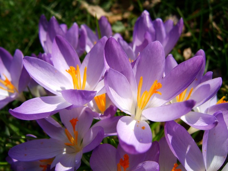 46190689245_dc8d1738fd_b