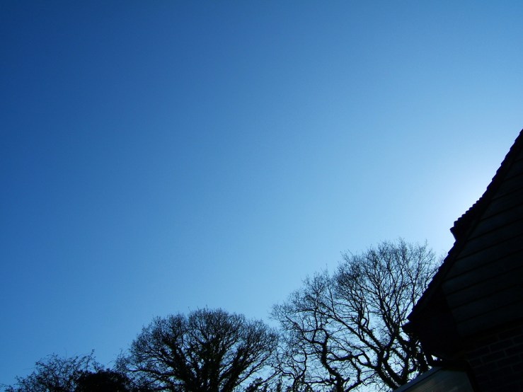 46190890815_325c2cbe8d_b