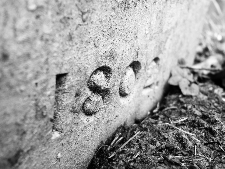 46224391004_e2ceba07b5_b