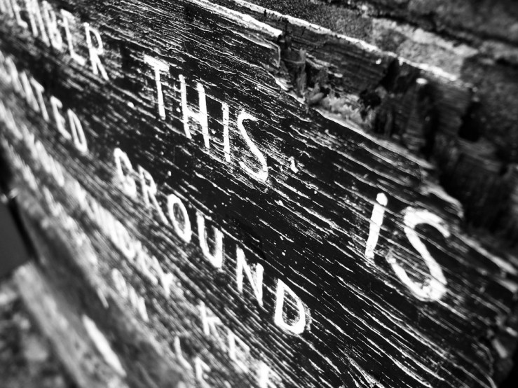 46224391884_d552dbba08_b