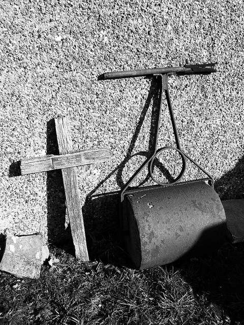 46445110854_e3ab566a12_z