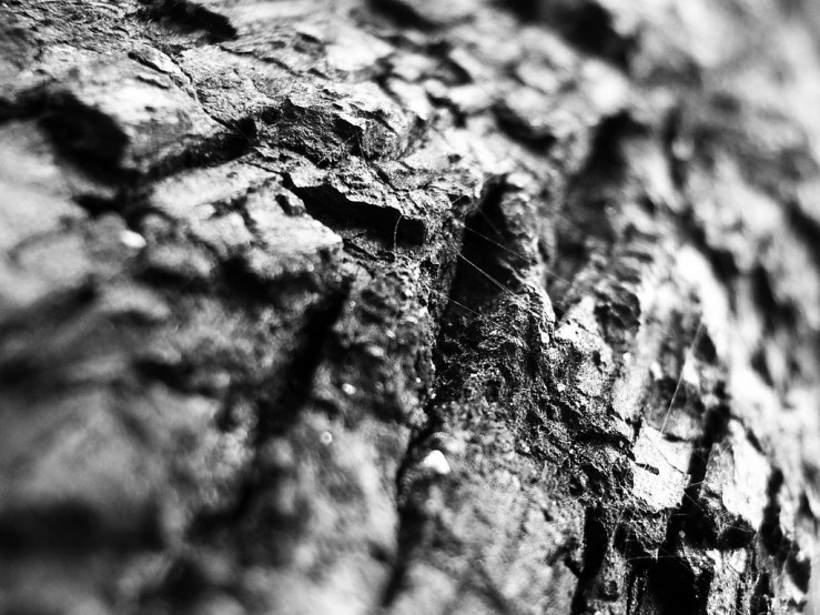 47026826811_95488360fa_b