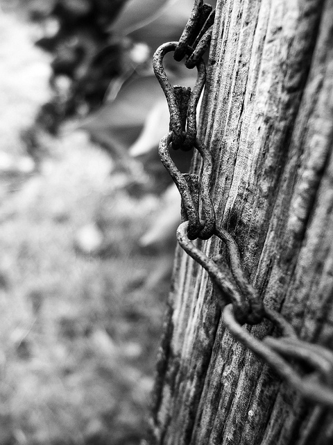 47026827121_260d0d8d16_z