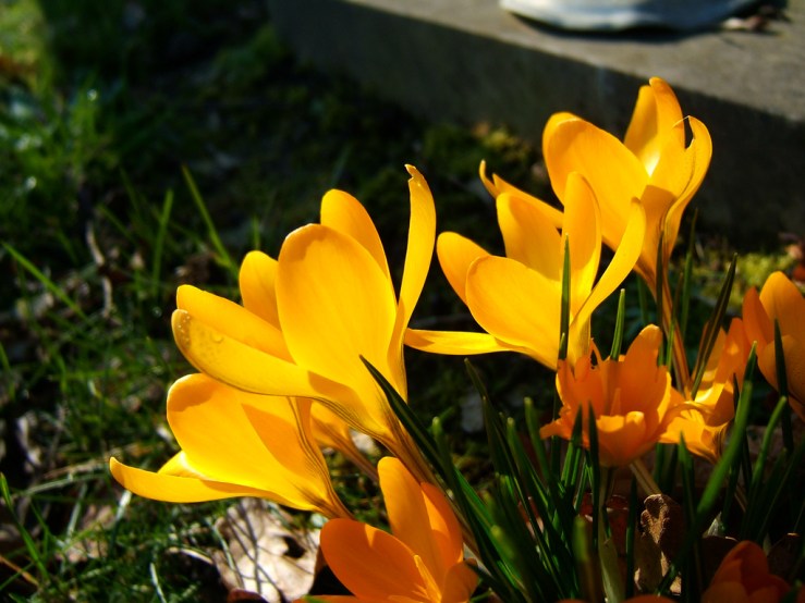 47052207562_1f46d6c42f_b