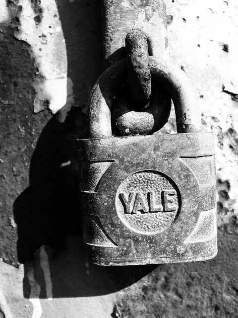 47200080441_9a964760b4_z