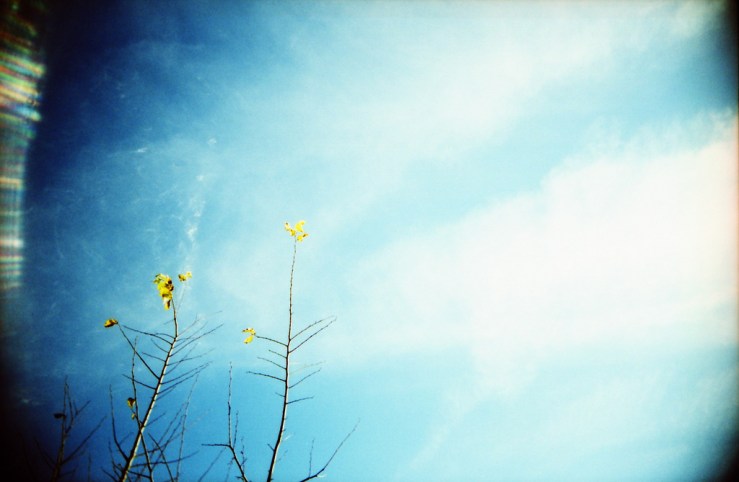 8269915709_985601c472_b